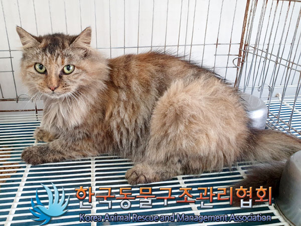 한국동물구조관리협회_441414202300767